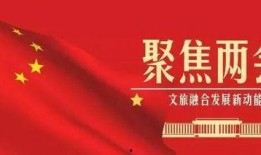 河南两会热点爆料新闻,聚焦民生福祉与经济发展新篇章
