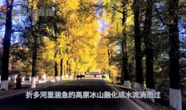 娱乐吃瓜君17集,揭秘娱乐圈背后的惊人真相